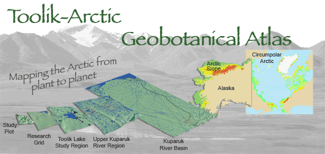 Arctic Geobotanical Atlas (University of Alaska)